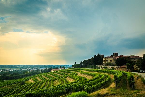 storm-over-italian-vineyard