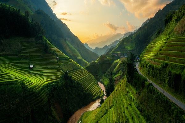 Terraced paddy fields in Vietnam